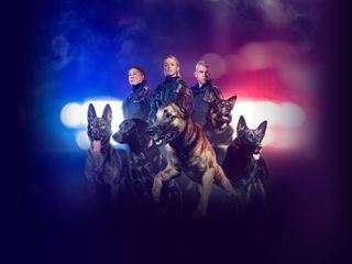 Police Dogs