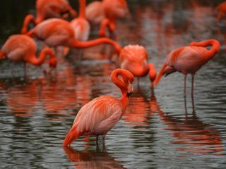 Zoo und so - Tierisch wild!