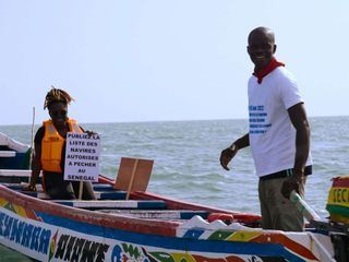 Inside Greenpeace - Was braucht es, um die Welt zu retten?