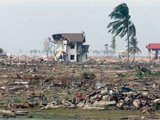 Discovered by disaster