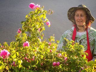 Im Tal der Rosen