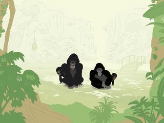 PEEKs ZOO - Von Affen, Giraffen & Co.