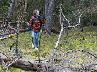 Der Waechter des Zauberwaldes