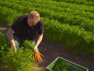 Feldkueche - Vom Acker direkt in den Topf