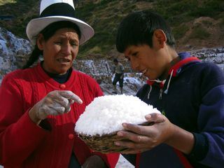 Das Salz der Inka