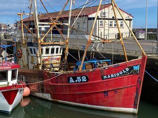 Leben an der Nordsee