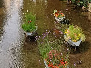 Erfurt, da will ich hin!