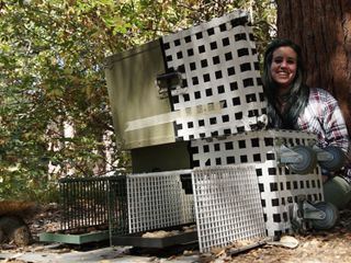 Die Superkraefte der Tiere