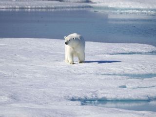 Kampf der Supermaechte - Wer kontrolliert die Arktis?
