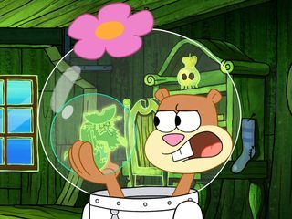 SpongeBob Schwammkopf SpongeBob Schwammkopf