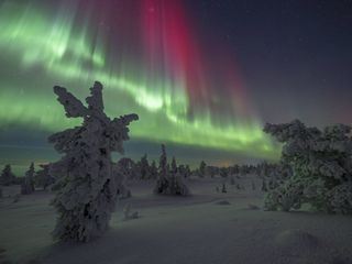 Faszination Erde - mit Hannah Emde