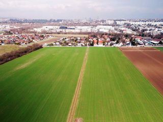 Boomende Staedte, sterbendes Land