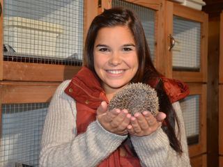 Anna und die wilden Tiere