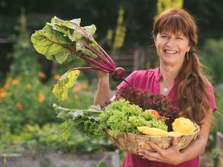 Querbeet Querbeet