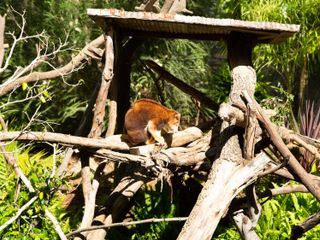 San Diego Zoo