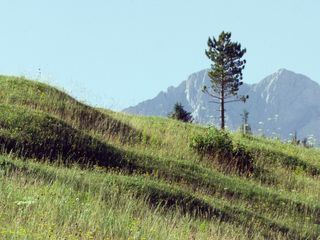 Bayerns Naturdenkmaeler