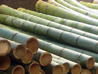 plan b: Die Zukunft des Bauens