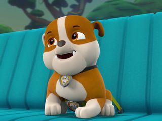 PAW Patrol - Helfer auf vier Pfoten