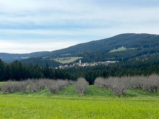 Zurueck zur Natur