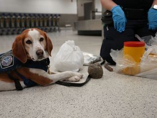 Schmugglern auf der Spur