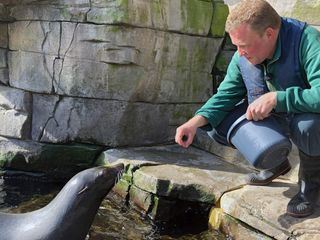 Leopard, Seebaer & Co.