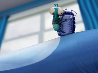 Bienvenue chez les mouches