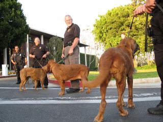 Tierisch clever Tierisch clever