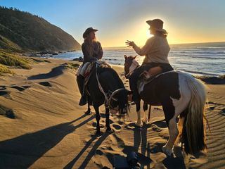 hallo deutschland Abenteuer Auswandern