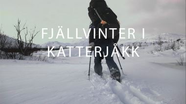 Fjaellvinter i vaegloest land