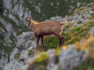 Das Tote Gebirge