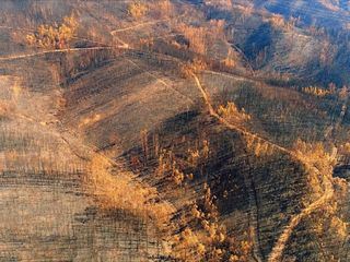 Im Angesicht der Katastrophe Im Angesicht der Katastrophe