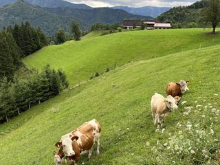 Österreichs Bergdoerfer