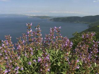 Kroatien - Naturparadies zwischen Donau und Adria