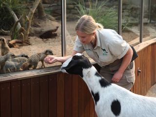 Taronga Zoo Hautnah