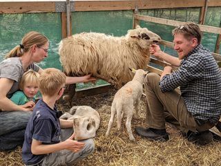 Lammzeit bei den Grossstadtschaefern