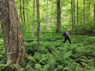 Nationalparks der Zukunft