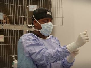 Die Tieraerzte von Houston