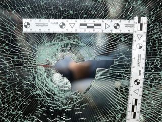 Auf den Spuren einer toedlichen Eifersucht