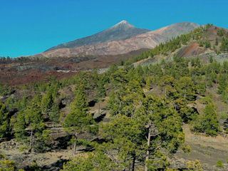 Teneriffa - Im Bann des Teide