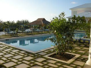 Fish Tank Kings - Gigantische Wasserwelten