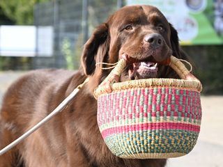 Die Unvermittelbaren - Mit Martin Ruetter