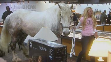 Hardcore Pawn - Das haerteste Pfandhaus Detroits