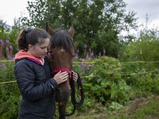 Die Yukon-Tieraerztin