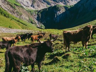 Österreichs Bergdoerfer