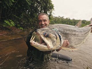 Giganten unter Wasser - Riesenfischen auf der Spur