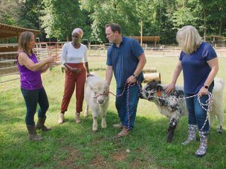 Homegrown - Aus Liebe zum Garten