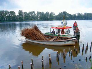 Land im Gezeitenstrom