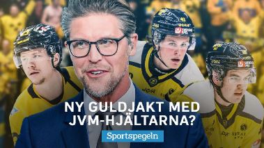 Sportspegeln