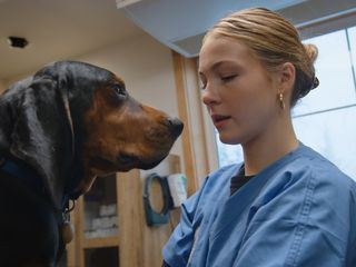 Die Yukon-Tieraerztin