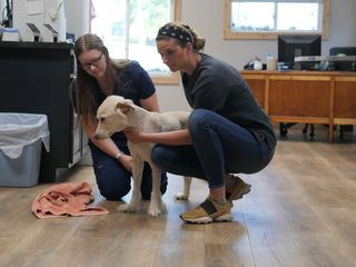 Heartland Docs - Die Tierarzt-Familie